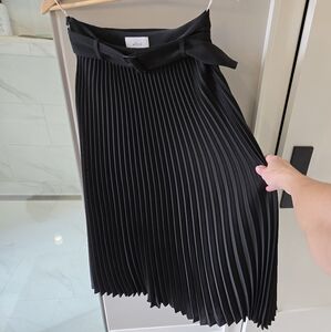 Aritzia Wilfred Skirt